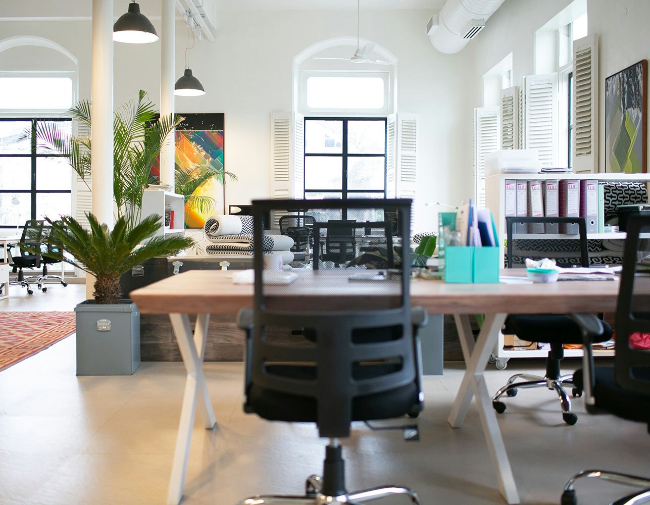 Bright open-plan office space with desks, plants, and large windows