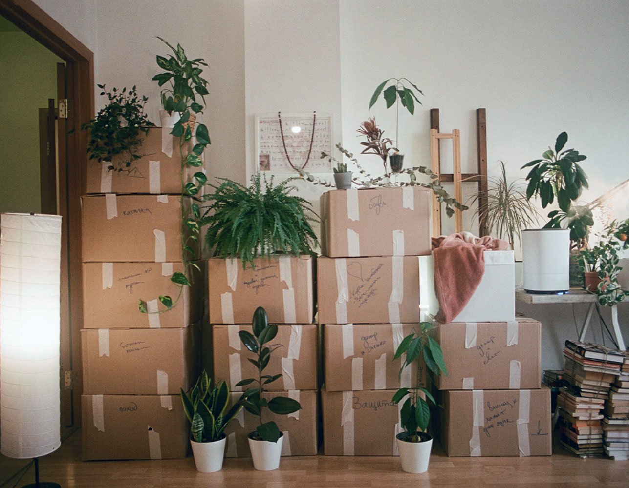 Stacked moving boxes surrounded by potted plants near a home entryway