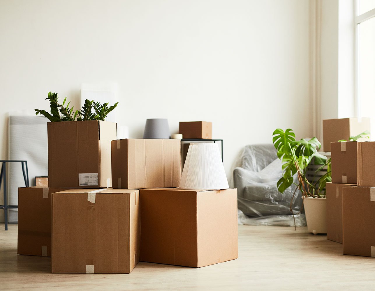 Cardboard moving boxes stacked in a bright, empty room with large windows