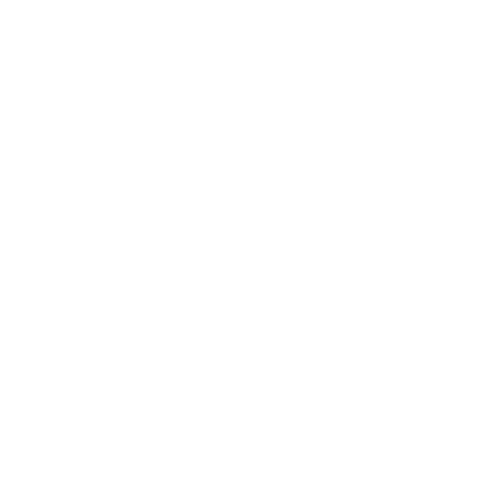 google icon